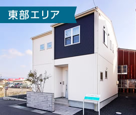 東部エリア